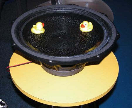 ducks